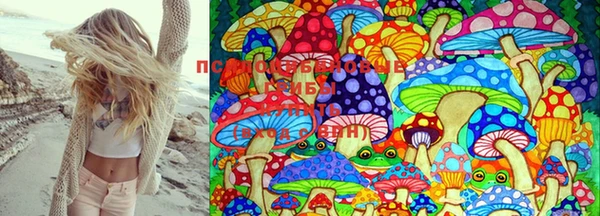 эйфоретик Покачи