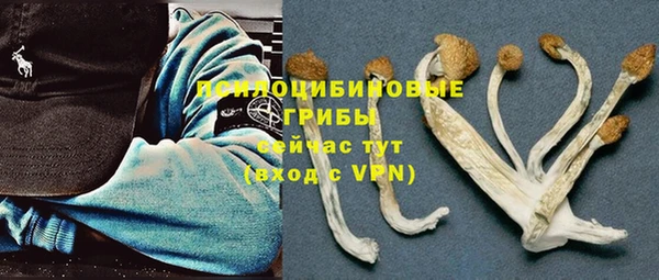 spice Баксан