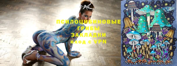 хмурый Балахна