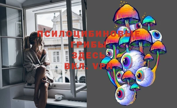 spice Баксан
