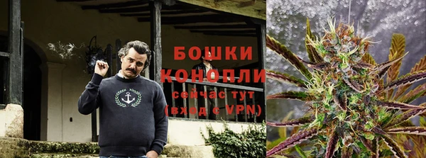 эйфоретик Покачи