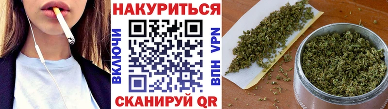 Каннабис планчик Сенгилей